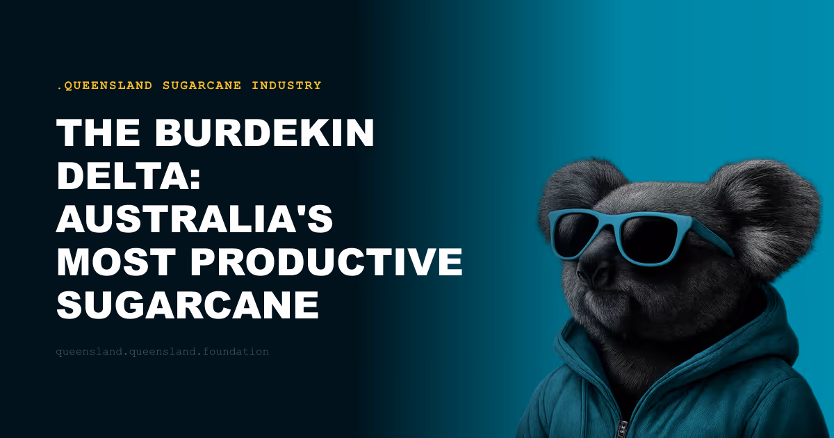 The Burdekin Delta: Australia's Most Productive Sugarcane Region