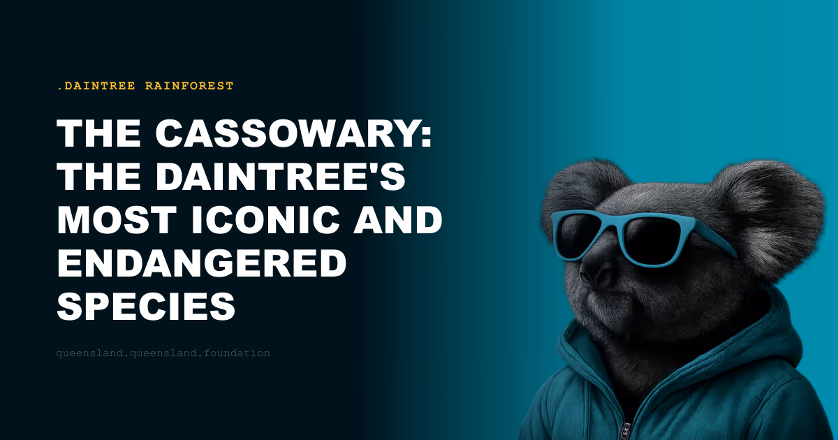 The Cassowary: The Daintree's Most Iconic and Endangered Species