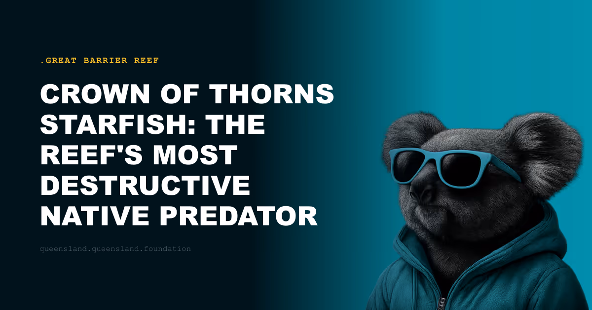 Crown of Thorns Starfish: The Reef's Most Destructive Native Predator