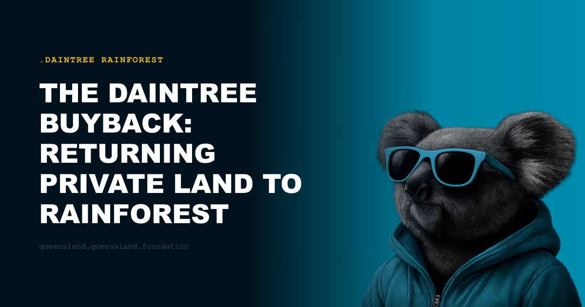 The Daintree Buyback: Returning Private Land to Rainforest