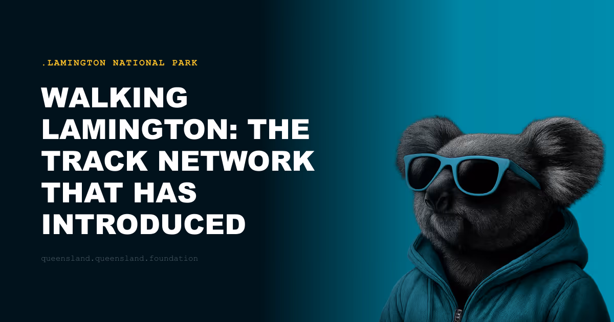 Walking Lamington: The Track Network That Has Introduced Generations to Rainforest